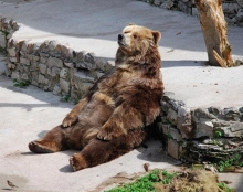 ��������肢�摜