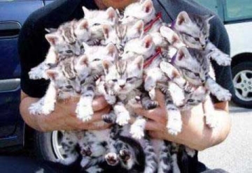 �ʔ��肢�摜 