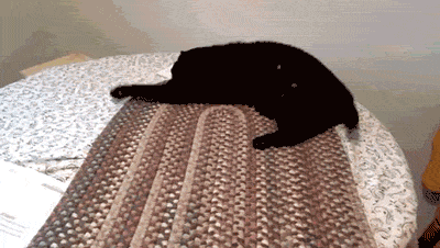 ʔ肢摜 